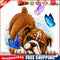 5D DIY Diamond Painting Kits Pug Butterfly Full Round Drill Wall Decor Art