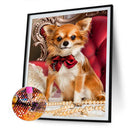 Diamond Painting 5D Full Round Drill Mosaic DIY Various Animals Kit Wall Deco