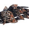 Duckbill Hair Claws Hair Dovetail Clips Rhinestone Hairpin Flower Hair Clip
