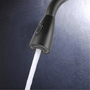 360 Degree Faucet Head 2 Mode Sink Basin Filter Pull-Out Nozzle Sprayer (D)