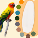 5Pcs/Set Cuttlefish Bone Cuttle Fish Bird Food Calcium HOT R9Y2 F Reptiles C6S1