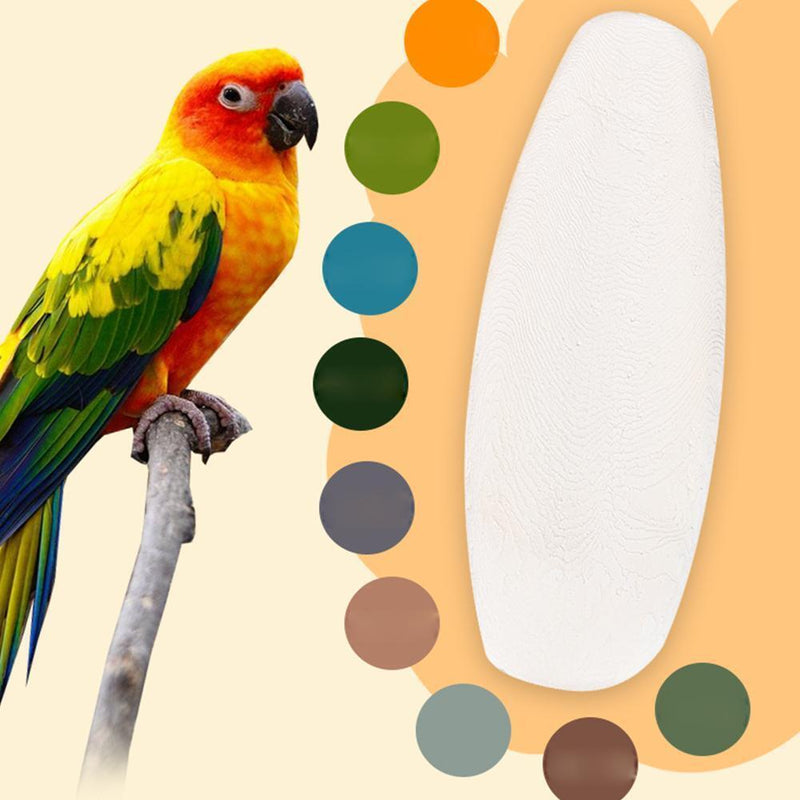 5Pcs/Set Cuttlefish Bone Cuttle Fish Bird Food Calcium HOT R9Y2 F Reptiles C6S1