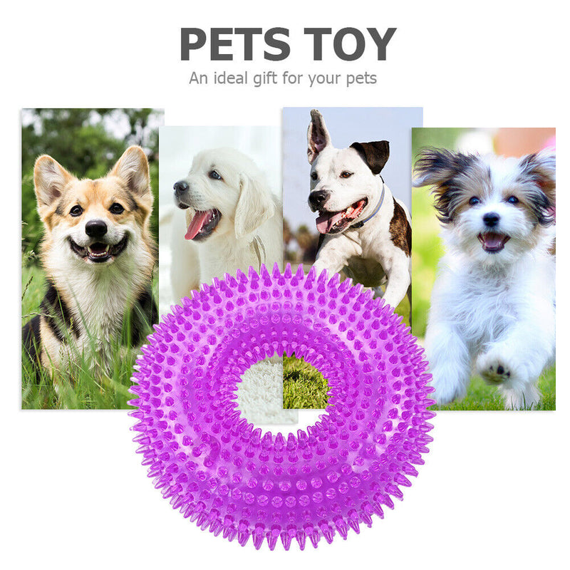 Bite Resistant Golden Dog Retriever Circle Ring Thorn Molar Ball (S Purple)