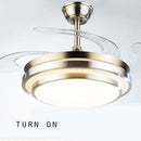 Reversible Blades 3 Speed Modern White Ceiling Fan Light with Light & Beech