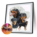 5D DIY Full Drill Diamond Painting Dogs Group Cross Stitch Embroidery Rhine