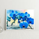 5D Diamond Painting Flower Full Round Drill DIY Wall Crafts Home Decoration K