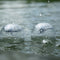 #A Solar Pool Floating Magic Ball Light Pond Garden Night Lighting Waterproof La