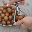 Metal Walnut Clip Peeler Household Macadamia Dried Fruit Opener Nutcracker