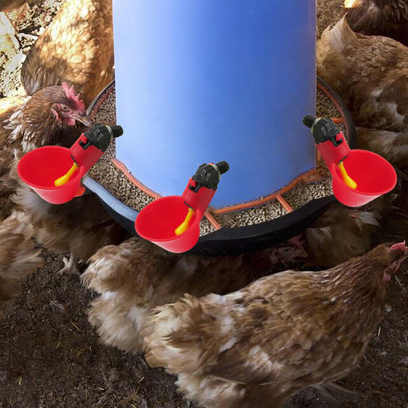5pcs Chicken Quail Poultry Waterrer Drinker Bird Coop Hanging Water Cups Tools