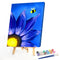 Blue Daisy Oil Paint By Numbers DIY Handpainted on Canvas Wall Art (B883)