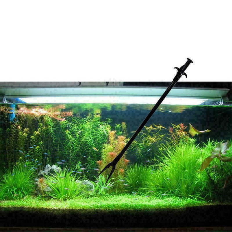 50 cm Pliers & Scissors Has Planted Aquarium Tom Cut Tools E3X0 Wave L0Z1 U1R8