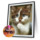5D Diamond Painting Kit DIY Cat Full Round Mosaic Picture