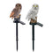 5pcs Solar Power LED Waterproof Garden Landscape Owl Lawn Ligh(Light Brown)