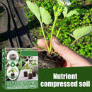 Nursery Soil Blocks - Mixed Pellets Garden Seeds Soil Blocks for Indoor Plants