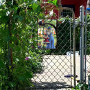 Metal Sign Plaque Tin Sign Swing Cat Poster Living Room Bar Cafe Decoration