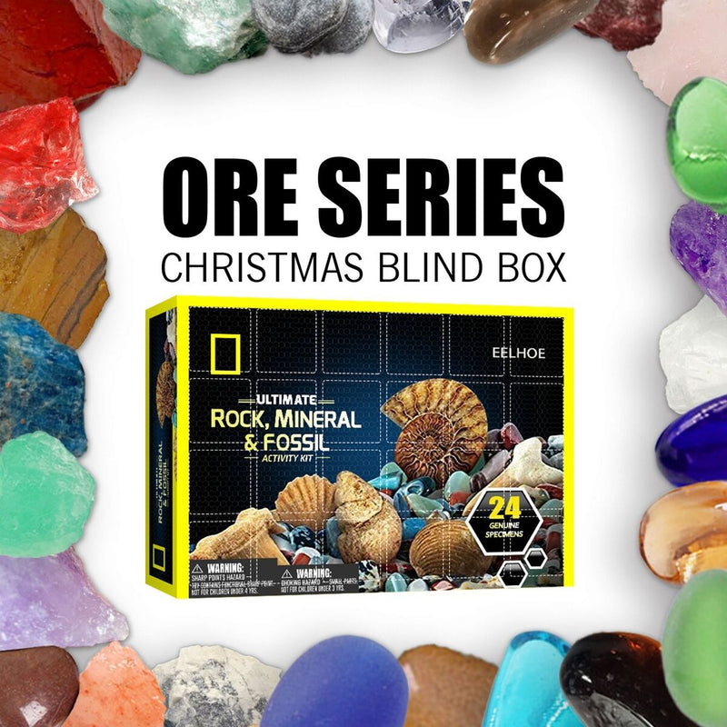 Early Education Fossil Stone Set Christmas Advent Calendar Gift Mineral Boxs