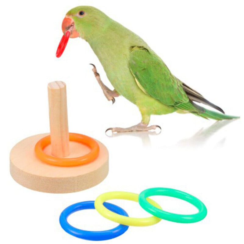 Training Bird Interactive Parrot Basketball Skateboard Ferrule Tower Toys