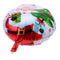 Christmas Aluminum Foil Balloon Inflatable Party Decor (Santa Claus 2)