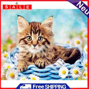 DIY Abstract Acrylic Picture Gift Cat in Basketball Digital Oil Hand Painting Kit