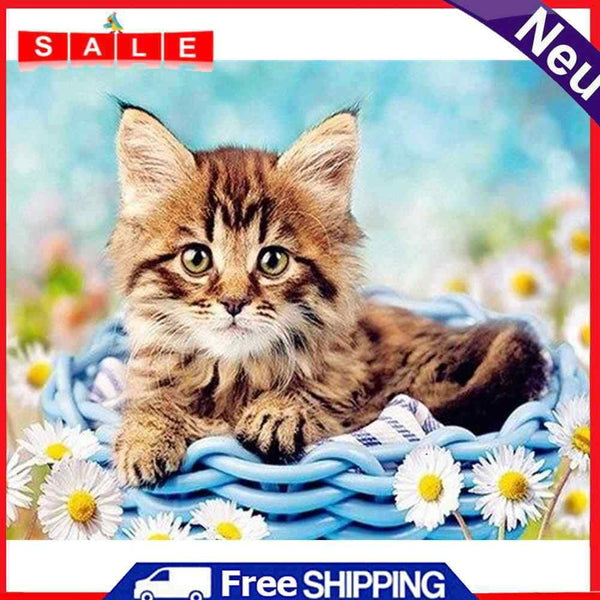 DIY Abstract Acrylic Picture Gift Cat in Basketball Digital Oil Hand Painting Kit