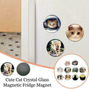 Cat Fridge Magnet Cute Animal Refrigerator Magnets Cabochon Refrigerator I8M8
