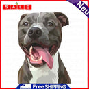 DIY Digital Picture Animals Frameless Painting By Numbers Art Handicraft Drawing