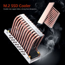 M.2 Solid State Drive Cooler Heatsink Pure Copper SSD Cooling Vest Double PC