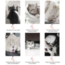 Pet Carrier Bag Clear Dog Cat Travel Breathable Outdoor Backpack (White) Newly