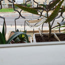 Bird Transparent Automatic Flower Waterrer Bulb Home Garden Plant Drip Irrigation