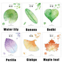 Stationery School Supplies Book Bookmarks Cute Notepad Notes Leaf Sticky