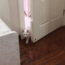 Puppy Door Opener Automatic Security Gate Kitten ABS Doors Opening Pet Supply