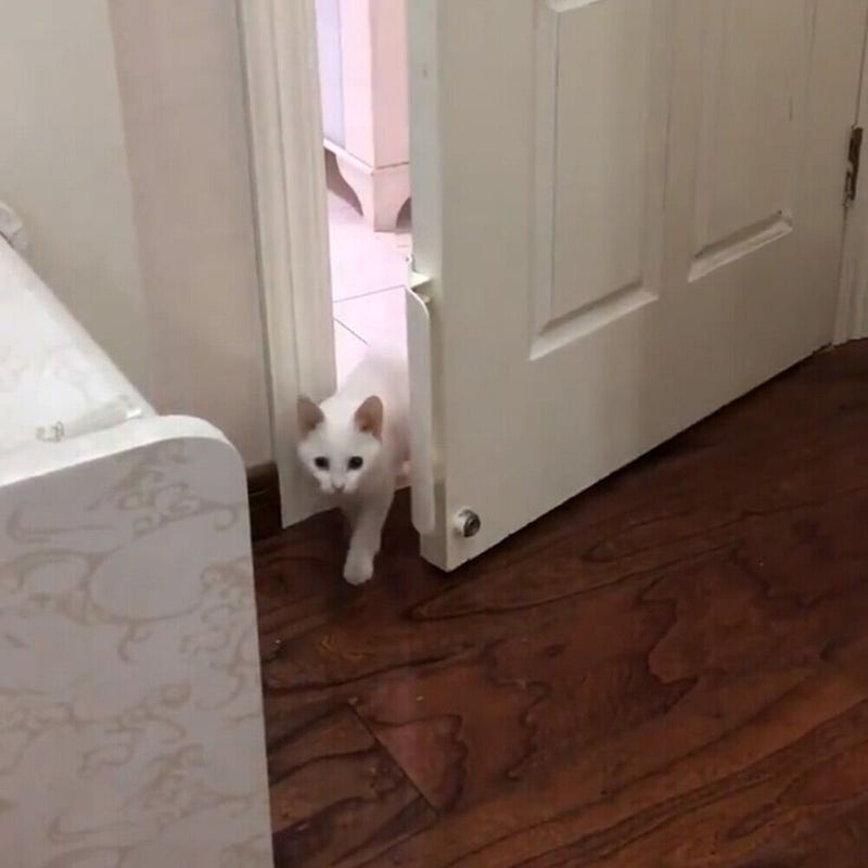 Puppy Door Opener Automatic Security Gate Kitten ABS Doors Opening Pet Supply