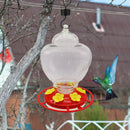 Bird Water Feeder Hanging Hummingbird Feeder Drinker Outdoor Garden Dispens