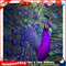 5D DIY Full Drill Diamond Animal Painting Embroidery Kit Mosaic Art Craft Newly