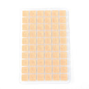 600pcs Acupuncture Needle Ear Seeds Vaccaria Seeds Ear Massage Stickers