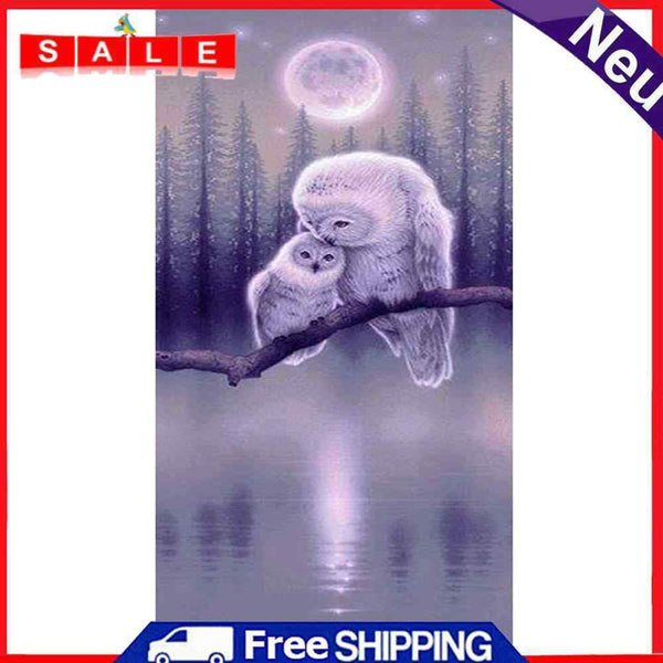 Night Owls Oil Paint By Numbers Kits DIY Art Picture Craft Home Decoration Gift