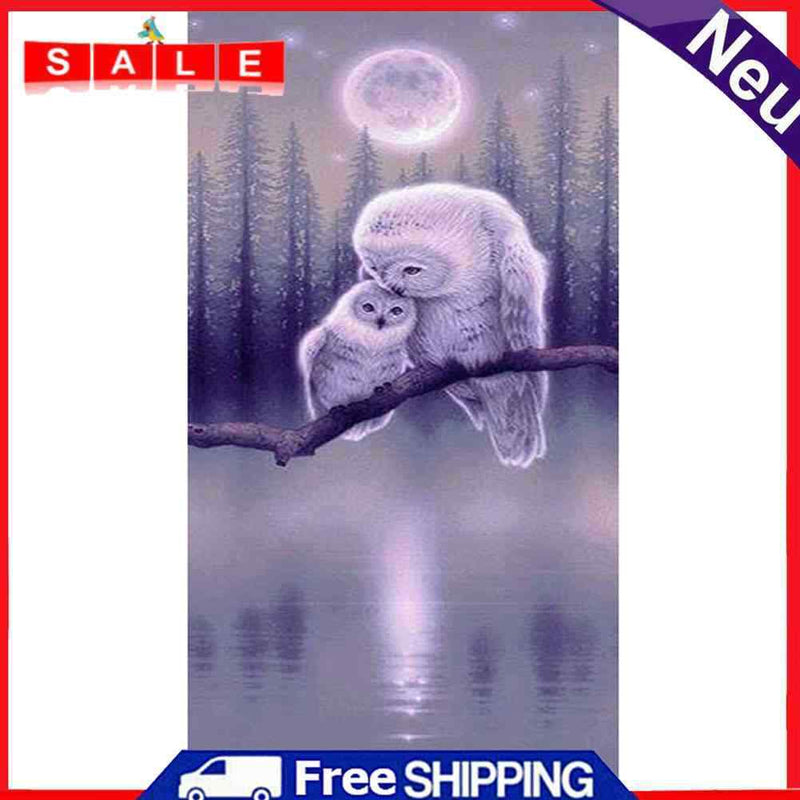 Night Owls Oil Paint By Numbers Kits DIY Art Picture Craft Home Decoration Gift