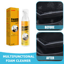 Multi-purpose Foam Cleaner Car Interior Home Cleaning Foam Spray (100ml)