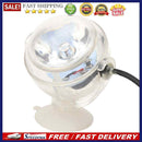 1W Mini Waterproof Aquarium LED Spotlight Fish Tank Submersible Lamp (White