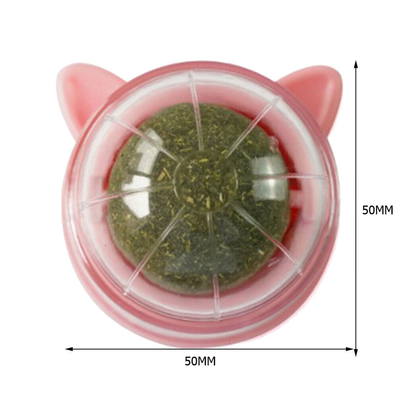 Catnip Ball Cat Toys Licking Teeth Chewing Pet Training Bite Balls (Pink)