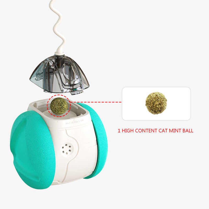 Cat Interactive Toys Swing Balance Body Colorful Sound Catnip Teaser Cat Pr
