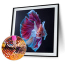 Diamond Painting Betta Full Round Drill Picture of Rhinestone DIY Drawing Kit
