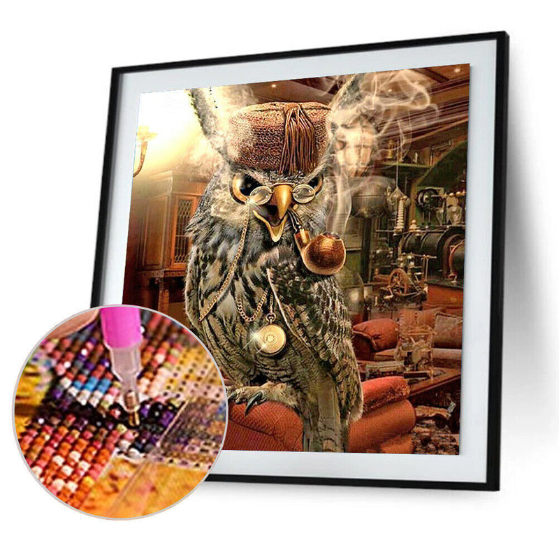 Frameless Owl in Cat Oil Paint By Numbers DIY Handmade Drawing On Canvas Kit