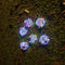 LED Solar Butterfly Ball Hanging Tree Lamps - Round Sunlight - Outdoor