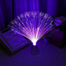 Fiber Optic Light Lamp Colour Changing Sensory Light Base Operated Battery G0C9