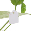 100Pcs Waterproof Plastic Nursery Garden Plant Label Flower Tag Mark 4.5*3