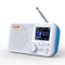 C10 2.4 inch Color LCD Screen Digital Desktop Alarm Clock DAB DAB+ FM Radio