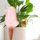 Automatic Plant Flower Self Water Tool Transparent Bird Dripper Pot (Red)