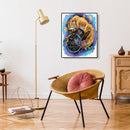 DIY Wolf Dreamcatcher Digital Painting By Numbers Canvas Oil Mural Wall Arts Kit