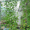 1.8 x 2.7m Nylon Flower Plant Fruit Climbing Frame Garden Fence Net